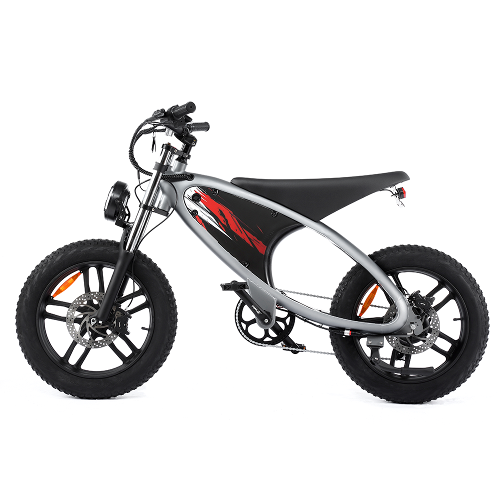 HX Q6 Moped-Style Fat Tire Electric Bike
