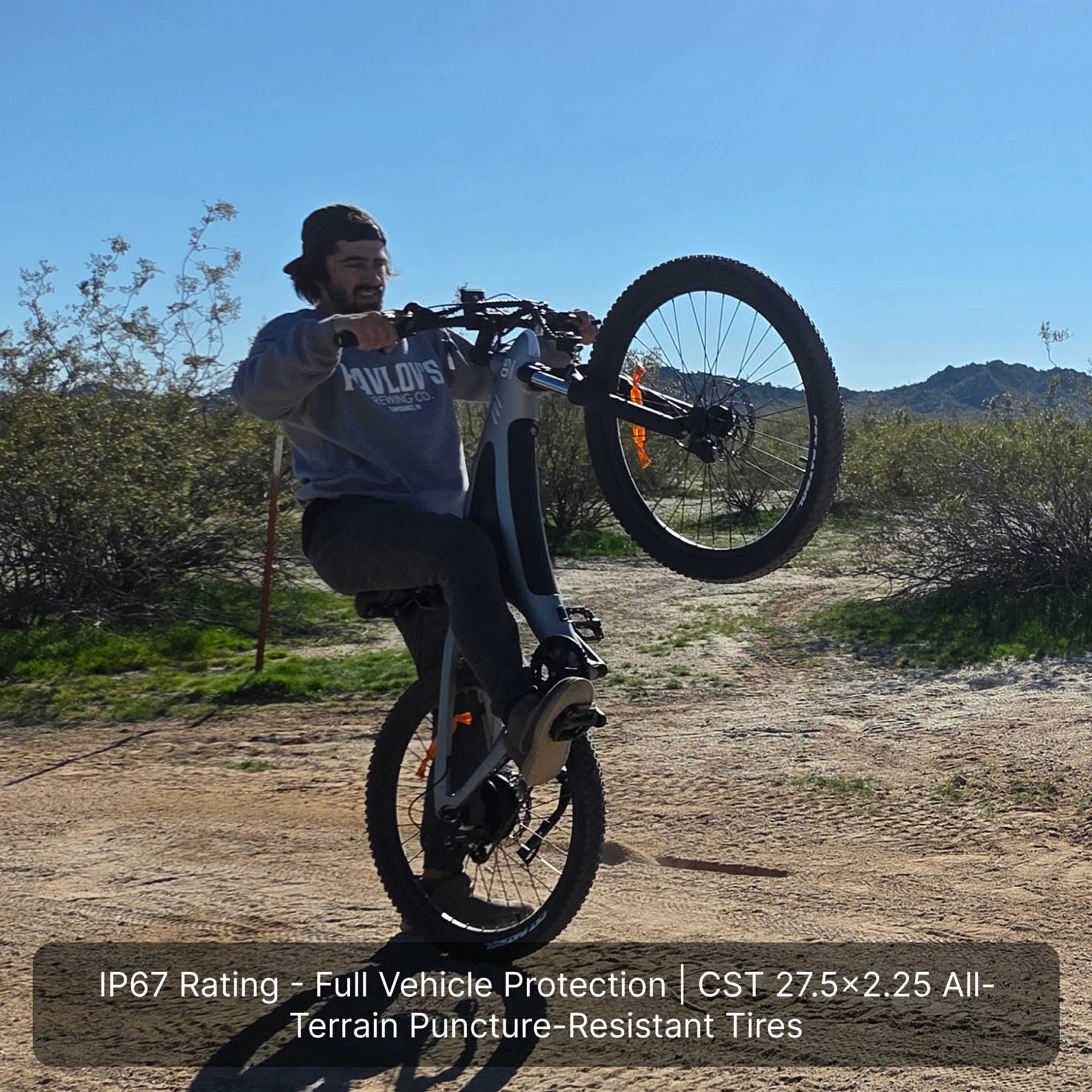 HX Q5 Shark Elektrofahrrad mit einem 48V 20Ah Akku