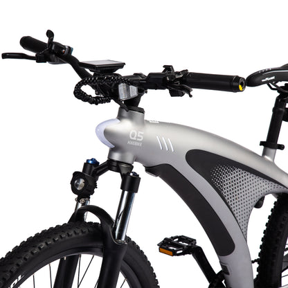 HX Q5 Shark Electric Bike with Built-in Battery